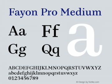 Fayon Pro Medium Version 2.000;PS 001.001;hotconv 1.0.50;makeotf.lib2.0.16970图片样张