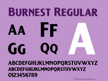 Burnest Regular 2 Version 1.000;hotconv 1.0.109;makeotfexe 2.5.65596 Font Sample