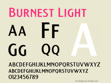 Burnest Light Version 1.000;hotconv 1.0.109;makeotfexe 2.5.65596 Font Sample