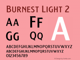 Burnest Light 2 Version 1.000;hotconv 1.0.109;makeotfexe 2.5.65596图片样张