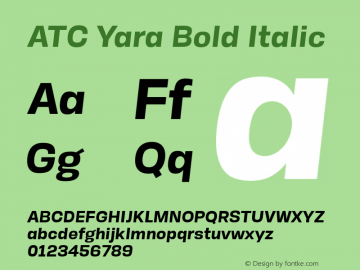 ATC Yara Bold Italic Version 1.002;PS 001.002;hotconv 1.0.88;makeotf.lib2.5.64775 Font Sample