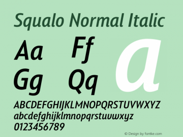 Squalo Normal Italic Version 1.000;PS 001.000;hotconv 1.0.88;makeotf.lib2.5.64775图片样张