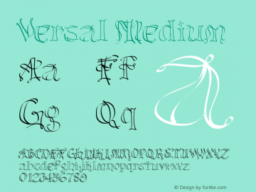 Versal Medium Version 001.000 Font Sample