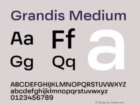 Grandis Medium Version 1.000;PS 001.000;hotconv 1.0.88;makeotf.lib2.5.64775图片样张