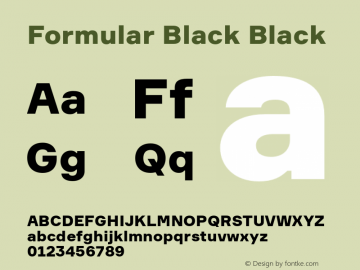 Formular-Black Version 2.000 | wf-rip DC20190225图片样张