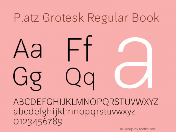 Platz Grotesk Regular Book Version 1.000;PS 001.000;hotconv 1.0.88;makeotf.lib2.5.64775图片样张