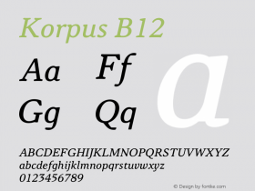 Korpus B12 Version 2.006;PS 002.006;hotconv 1.0.88;makeotf.lib2.5.64775图片样张