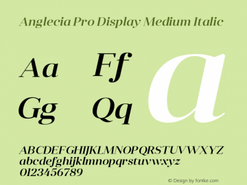 AngleciaProDisplay-MediumItalic Version 001.000;com.myfonts.konstantynov.anglecia-pro.display-medium-italic.wfkit2.47MB Font Sample