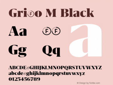 Grifo M Black Version 1.000;PS 001.000;hotconv 1.0.88;makeotf.lib2.5.64775图片样张