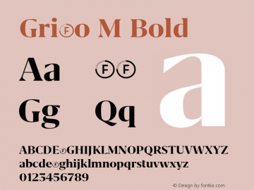 Grifo M Bold Version 1.000;PS 001.000;hotconv 1.0.88;makeotf.lib2.5.64775 Font Sample