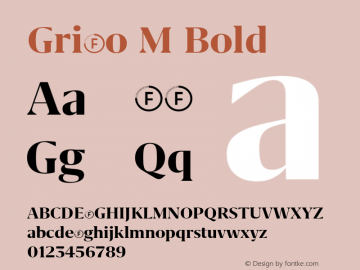 Grifo M Bold Version 1.000;PS 001.000;hotconv 1.0.88;makeotf.lib2.5.64775图片样张