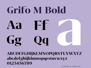 Grifo M Bold Version 1.000;PS 001.000;hotconv 1.0.88;makeotf.lib2.5.64775图片样张