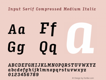 InputSerifCompressed MediumIta Version 0.000;PS 0.0;hotconv 1.0.72;makeotf.lib2.5.5900图片样张