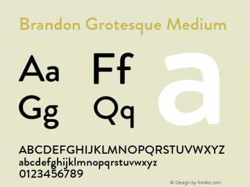 Brandon Grotesque Medium Regular Version 001.000 Font Sample