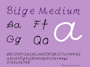 Bilge Medium Version 001.000 Font Sample