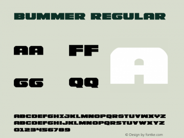 Bummer Version 2.0; 2015 Font Sample