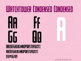 Watchtower Condensed Version 2.0; 2018图片样张