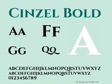 Cinzel Bold Version 1.001;hotconv 1.0.109;makeotfexe 2.5.65596 Font Sample