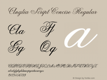 Anglia Script Concise Regular Macromedia Fontographer 4.1 22.11.2002 Font Sample