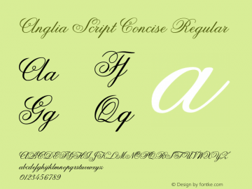 Anglia Script Concise Regular Macromedia Fontographer 4.1 22.11.2002 Font Sample