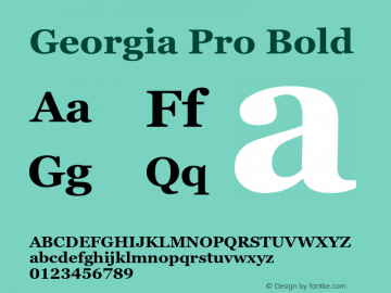 Georgia Pro Bold Version 6.11图片样张