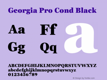 Georgia Pro Cond Black Version 6.02图片样张