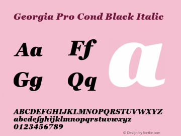 Georgia Pro Cond Black Italic Version 6.03图片样张