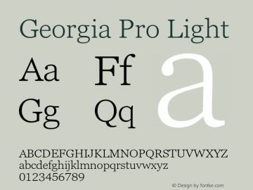 Georgia Pro Light Version 6.11图片样张