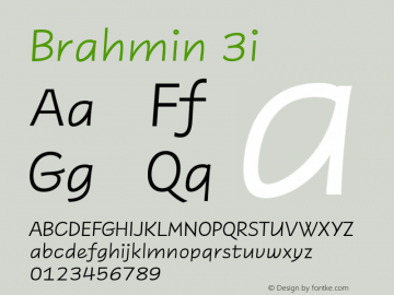Brahmin 3i Version 1.000;hotconv 1.0.109;makeotfexe 2.5.65596图片样张