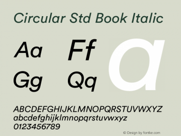 Circular Std Book Italic Version 1.001;PS 001.001;hotconv 1.0.88;makeotf.lib2.5.64775图片样张