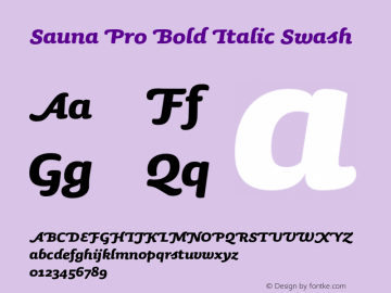 SaunaPro-BoldItalicSwash Version 2.500 Font Sample