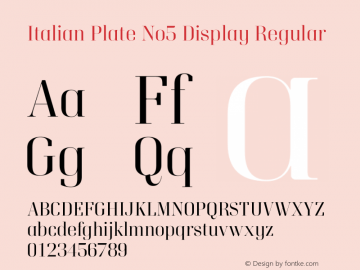 Italian Plate No5 Display Version 1.1图片样张