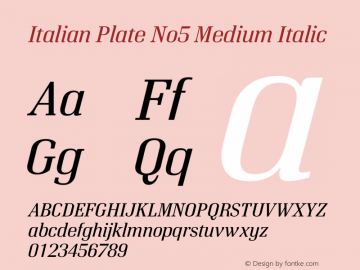 Italian Plate No5 Medium Italic Version 1.1图片样张