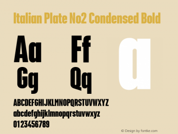 Italian Plate No2 Condensed Bold Version 1.1图片样张