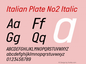 Italian Plate No2 Italic Version 2.101图片样张