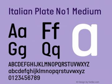 Italian Plate No1 Medium Version 2.101; ttfautohint (v1.4)图片样张