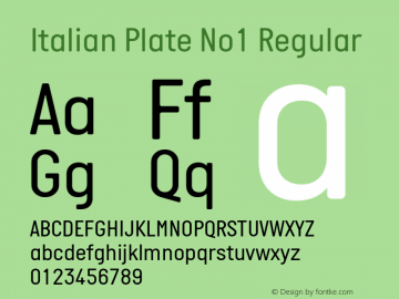 Italian Plate No1 Version 2.101; ttfautohint (v1.4)图片样张