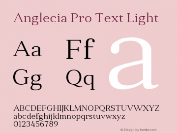 AngleciaProText-Light Version 001.000;com.myfonts.konstantynov.anglecia-pro.text-light.wfkit2.47MJ Font Sample