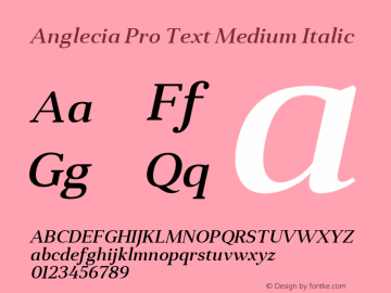 AngleciaProText-MediumItalic Version 001.000;com.myfonts.konstantynov.anglecia-pro.text-medium-italic.wfkit2.47Mr图片样张