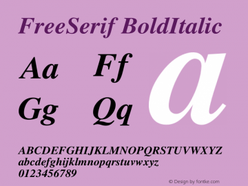 FreeSerif BoldItalic Version $Revision: 1.1 $ Font Sample