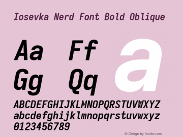 Iosevka Term SS04 Bold Oblique Nerd Font Version 3.2.2; ttfautohint (v1.8.3) Font Sample