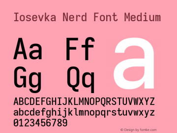 Iosevka Term SS04 Medium Nerd Font Version 3.2.2; ttfautohint (v1.8.3) Font Sample