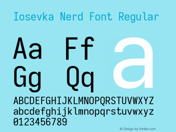 Iosevka Term SS04 Nerd Font Version 3.2.2; ttfautohint (v1.8.3) Font Sample