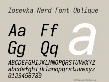 Iosevka Term SS04 Oblique Nerd Font Version 3.2.2; ttfautohint (v1.8.3) Font Sample