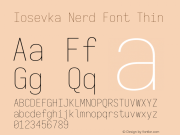 Iosevka Term SS04 Thin Nerd Font Version 3.2.2; ttfautohint (v1.8.3) Font Sample