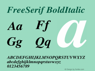 FreeSerif BoldItalic Version $Revision: 1.20 $ Font Sample