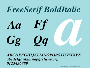 FreeSerif BoldItalic Version $Revision: 1.50 $ Font Sample