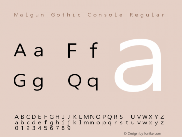 Malgun Gothic Console Version 1.00 Font Sample