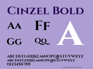 Cinzel Bold Version 1.001;PS 001.001;hotconv 1.0.56;makeotf.lib2.0.21325图片样张