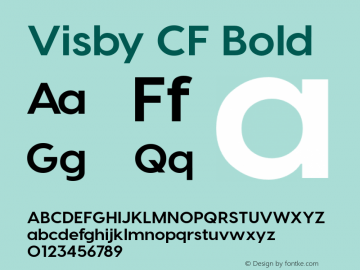 VisbyCF-Bold Version 3.800 | wf-rip DC20171015 Font Sample